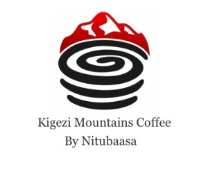 nitubaasa-logo